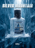 Silver Mountain