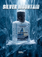 Silver Mountain
