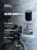 Silver Mountain